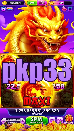 pkp33 APK